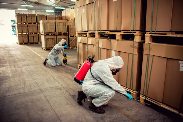 Best Affordable Pest Control Services  in Meiners Oaks, CA