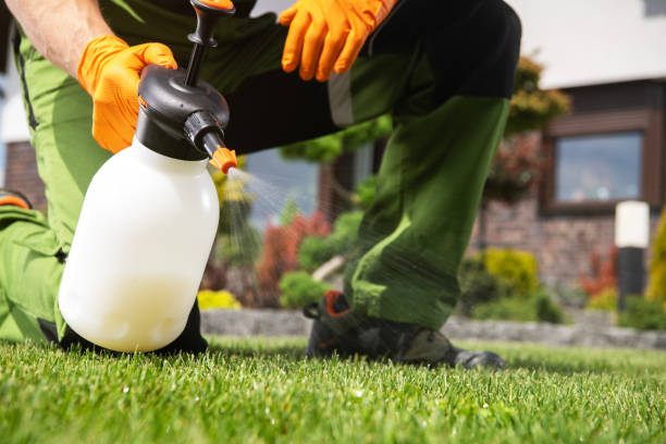 Best Emergency Pest Control  in Meiners Oaks, CA