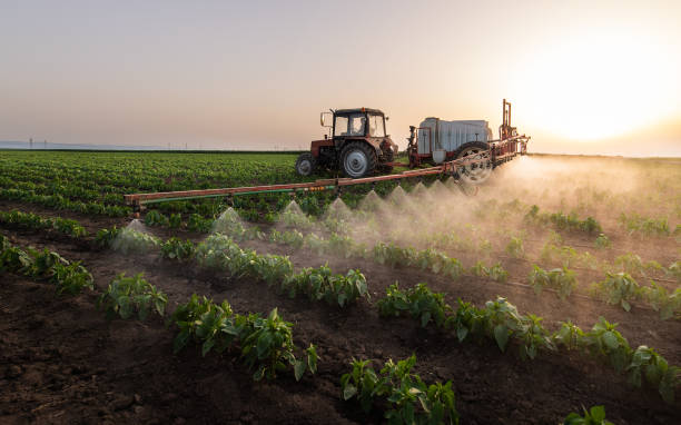 Best Mosquito Control Services  in Meiners Oaks, CA