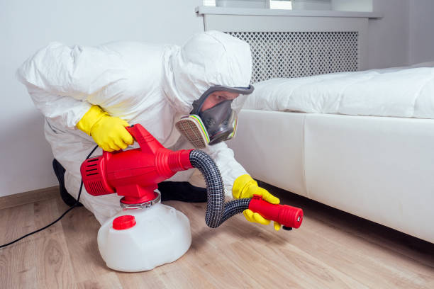 Best Rat Extermination Near Me  in Meiners Oaks, CA