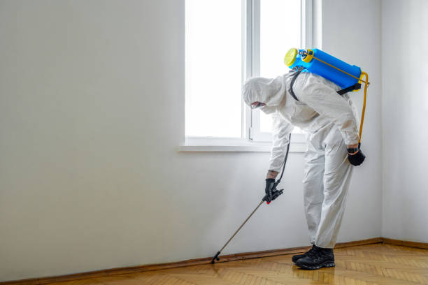 Best Ant Control Services  in Meiners Oaks, CA
