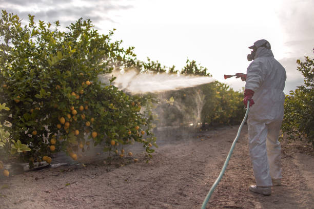 Best Best Pest Control Companies  in Meiners Oaks, CA