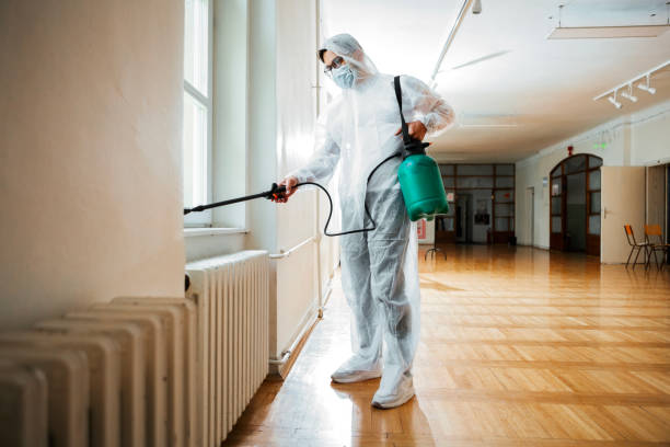 Best Residential Pest Control  in Meiners Oaks, CA